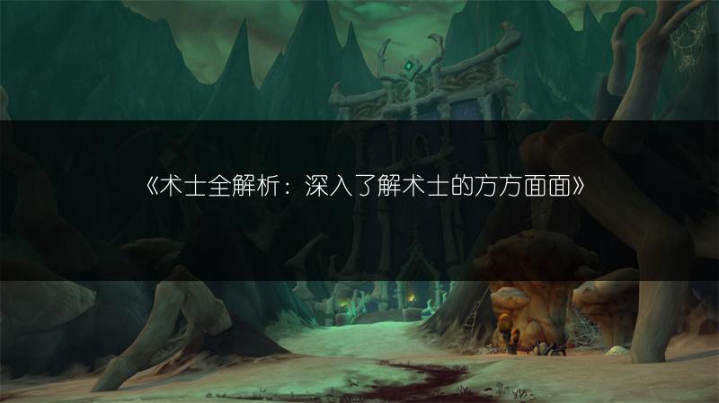 《术士全解析：深入了解术士的方方面面》