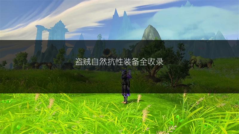 盗贼自然抗性装备全收录