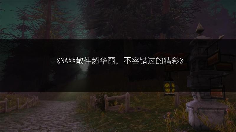 《NAXX散件超华丽，不容错过的精彩》