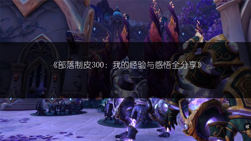 《部落制皮300：我的经验与感悟全分享》