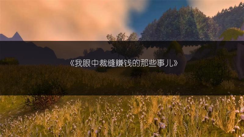 《我眼中裁缝赚钱的那些事儿》