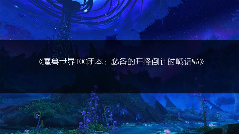《魔兽世界TOC团本：必备的开怪倒计时喊话WA》