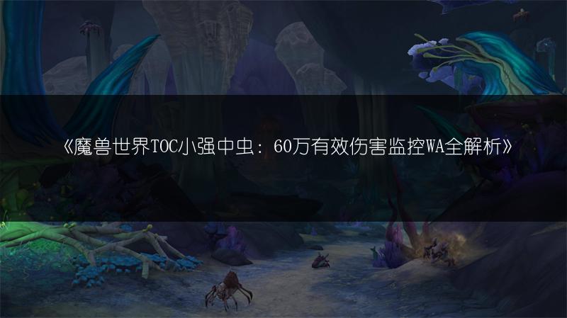 《魔兽世界TOC小强中虫：60万有效伤害监控WA全解析》