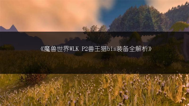 《魔兽世界WLK P2兽王猎bis装备全解析》