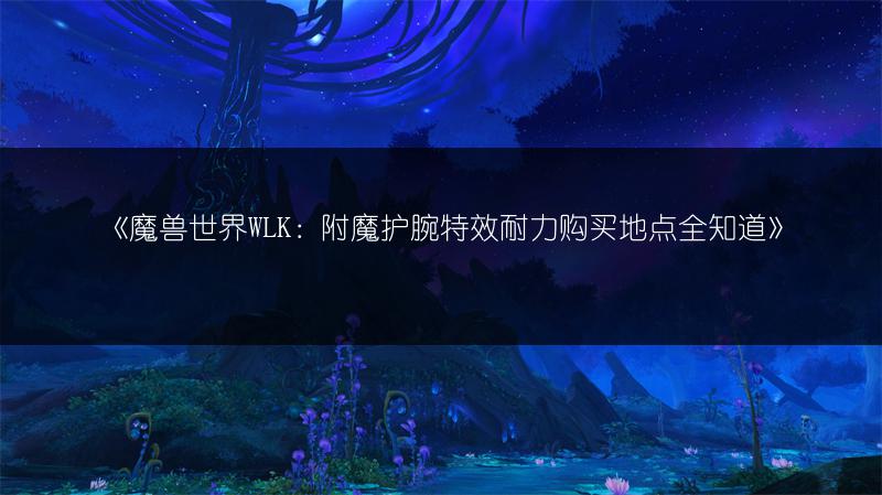 《魔兽世界WLK：附魔护腕特效耐力购买地点全知道》
