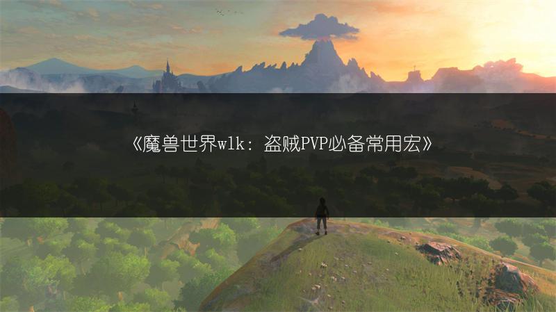 《魔兽世界wlk：盗贼PVP必备常用宏》