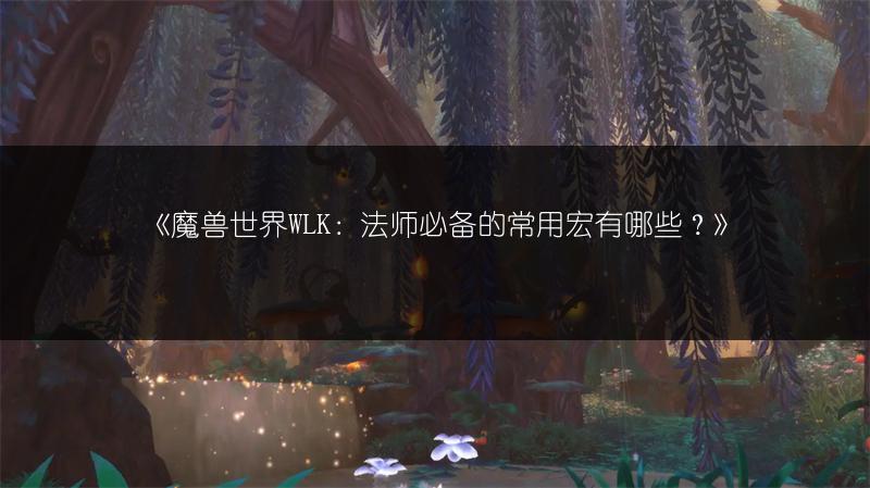 《魔兽世界WLK：法师必备的常用宏有哪些？》