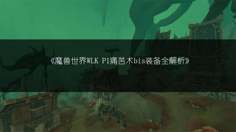 《魔兽世界WLK P1痛苦术bis装备全解析》