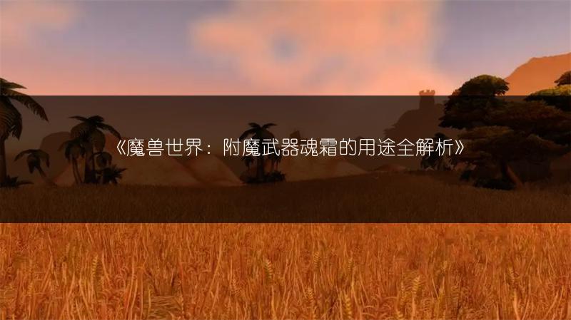 《魔兽世界：附魔武器魂霜的用途全解析》