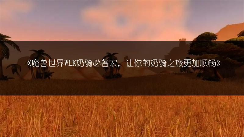 《魔兽世界WLK奶骑必备宏，让你的奶骑之旅更加顺畅》