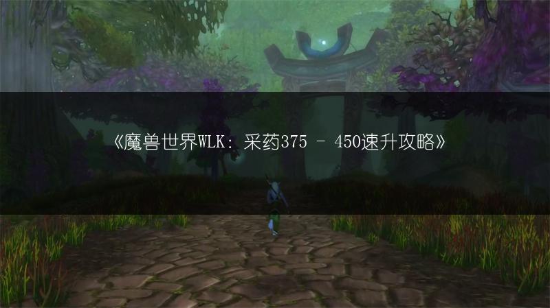 《魔兽世界WLK痛苦术命中需求：精准数值是多少？》