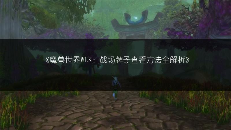 《魔兽世界WLK：战场牌子查看方法全解析》
