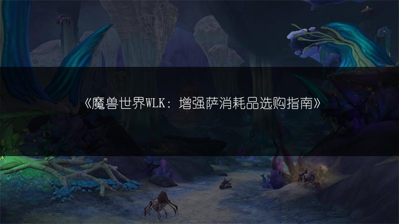 《魔兽世界WLK：增强萨消耗品选购指南》