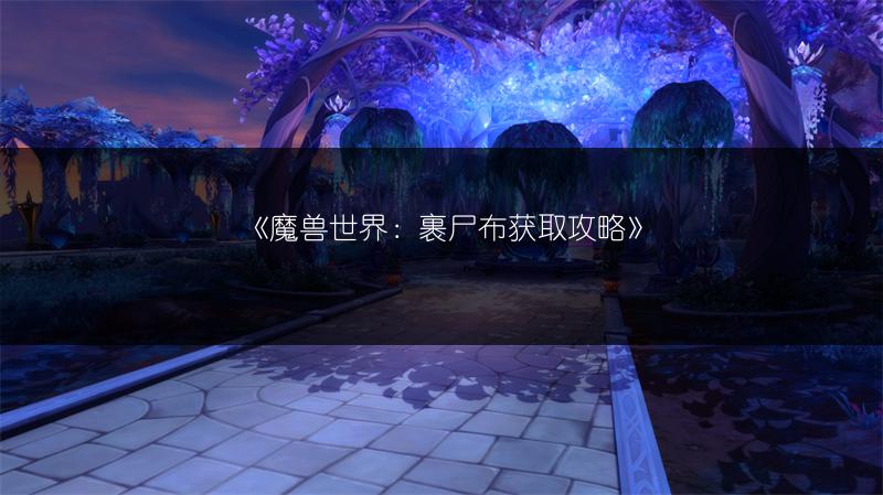 《魔兽世界：裹尸布获取攻略》