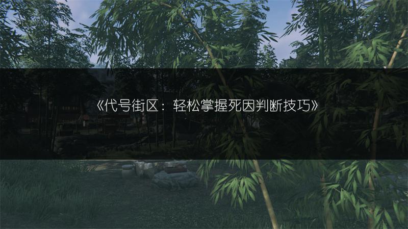 《代号街区：轻松掌握死因判断技巧》