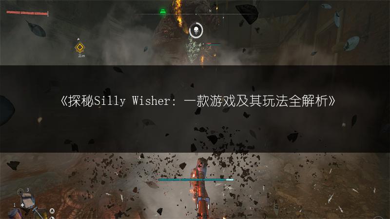 《探秘Silly Wisher：一款游戏及其玩法全解析》