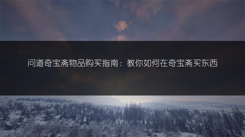 问道奇宝斋物品购买指南：教你如何在奇宝斋买东西