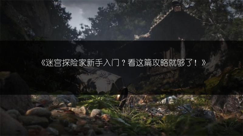 《迷宫探险家新手入门？看这篇攻略就够了！》