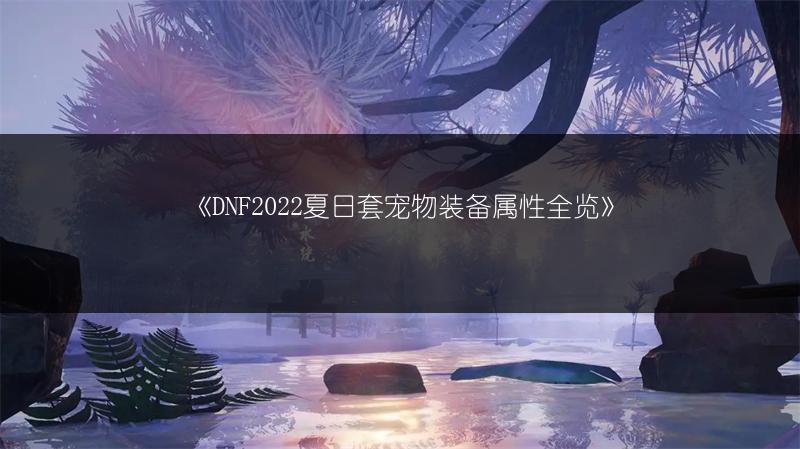 《DNF2022夏日套宠物装备属性全览》
