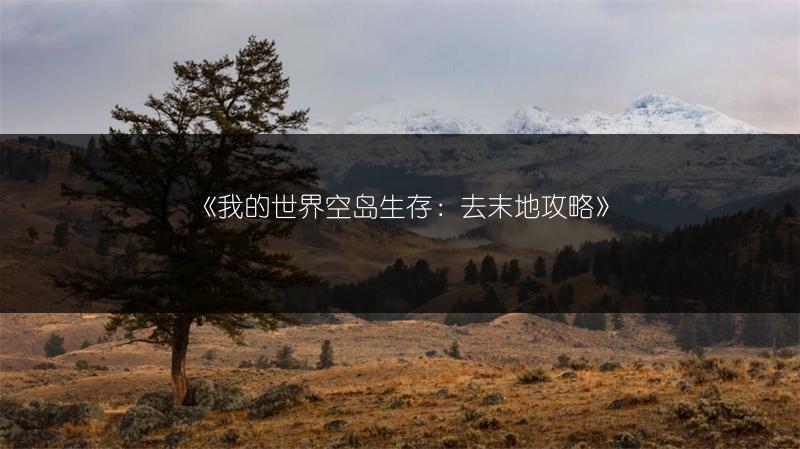 《我的世界空岛生存：去末地攻略》