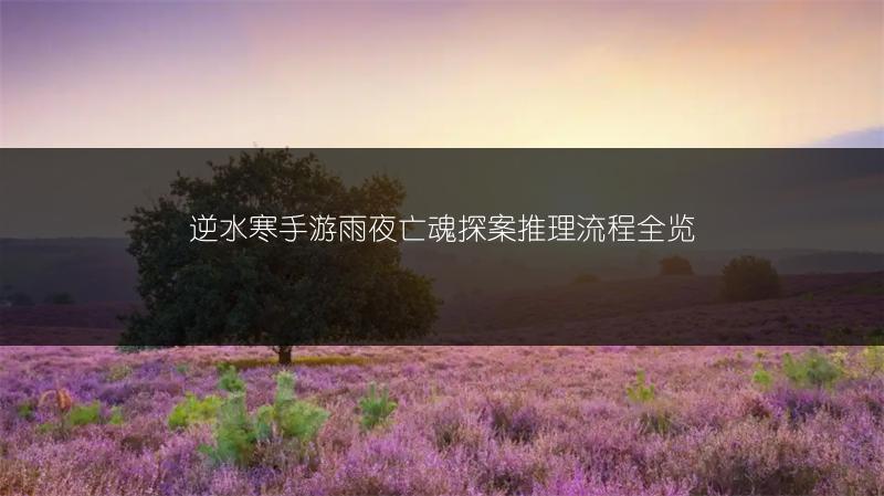 逆水寒手游雨夜亡魂探案推理流程