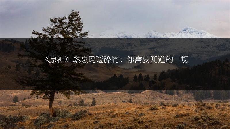 《原神》燃愿玛瑙碎屑：你需要知道的一切