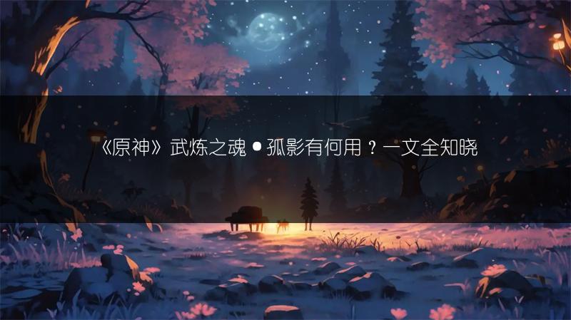 《原神》武炼之魂·孤影有何用？一文全知晓