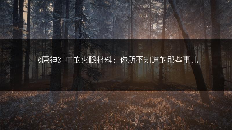 《原神》中的火腿材料：你所不知道的那些事儿