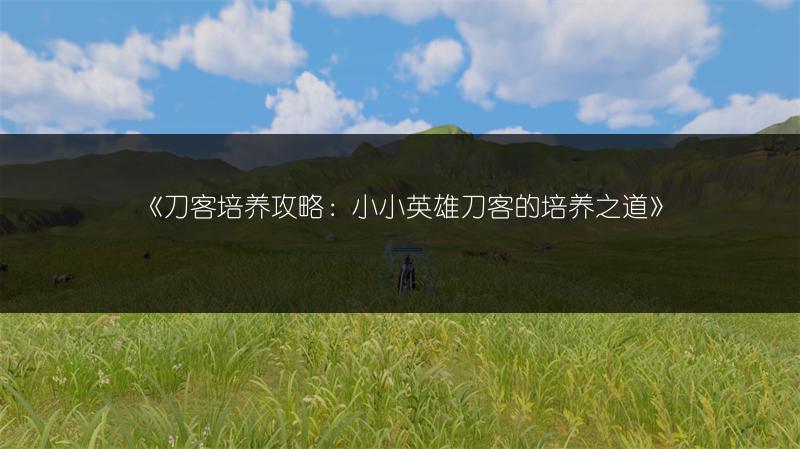 《刀客培养攻略：小小英雄刀客的培养之道》
