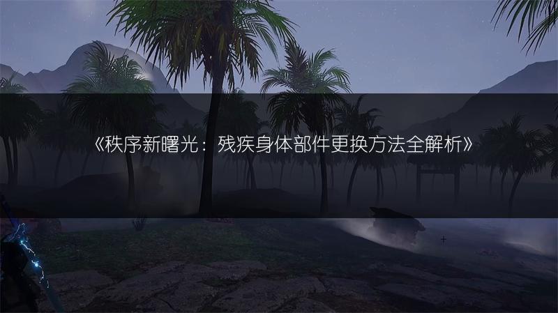 《秩序新曙光：残疾身体部件更换方法全解析》