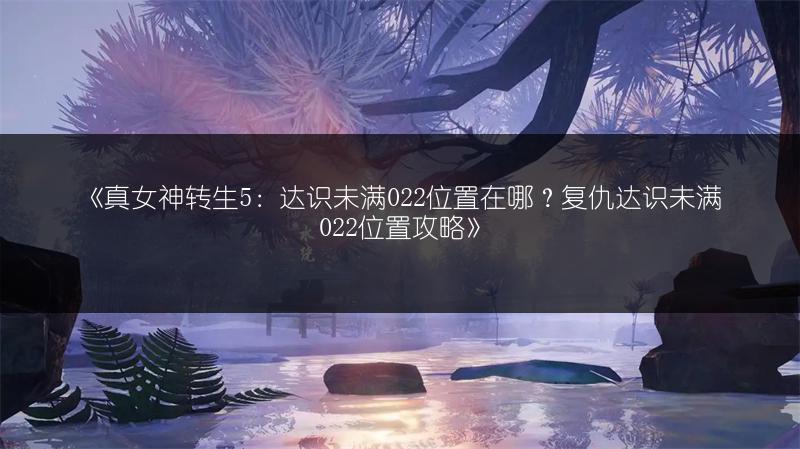 《真女神转生5：达识未满022位置在哪？复仇达识未满022位置攻略》