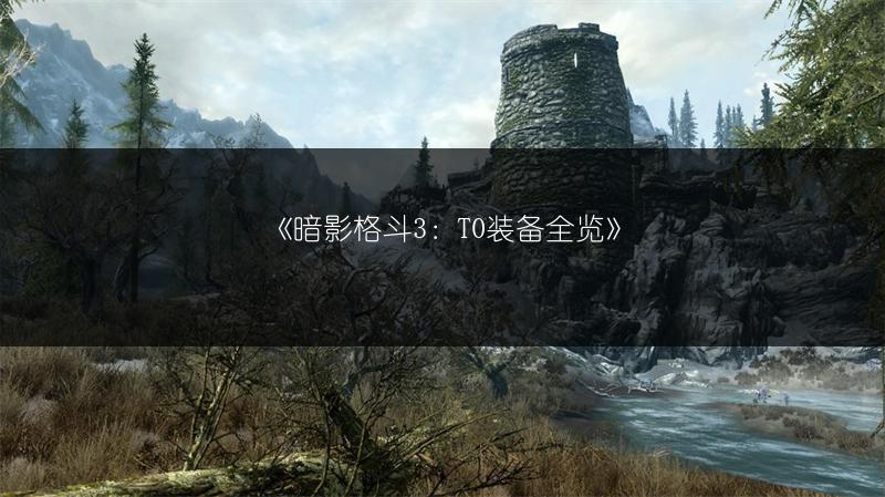 《暗影格斗3：T0装备全览》