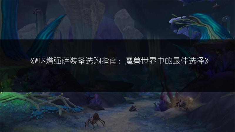 《WLK增强萨装备选购指南：魔兽世界中的最佳选择》