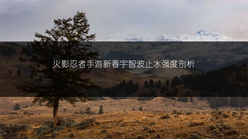 火影忍者手游新春宇智波止水强度剖析