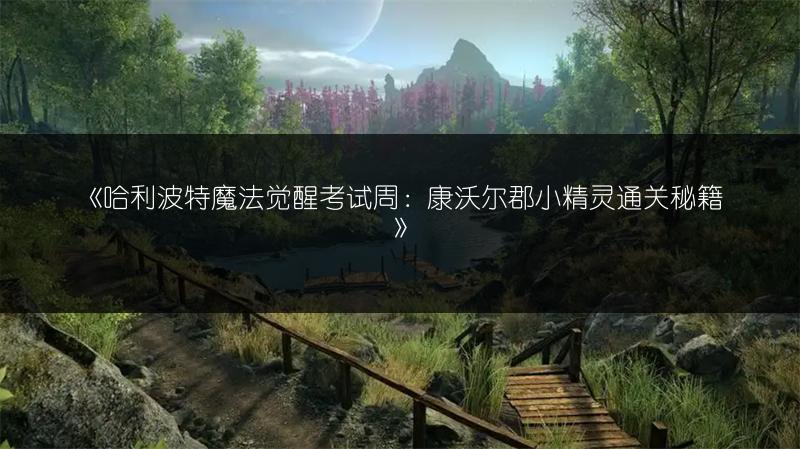 《哈利波特魔法觉醒考试周：康沃尔郡小精灵通关秘籍》