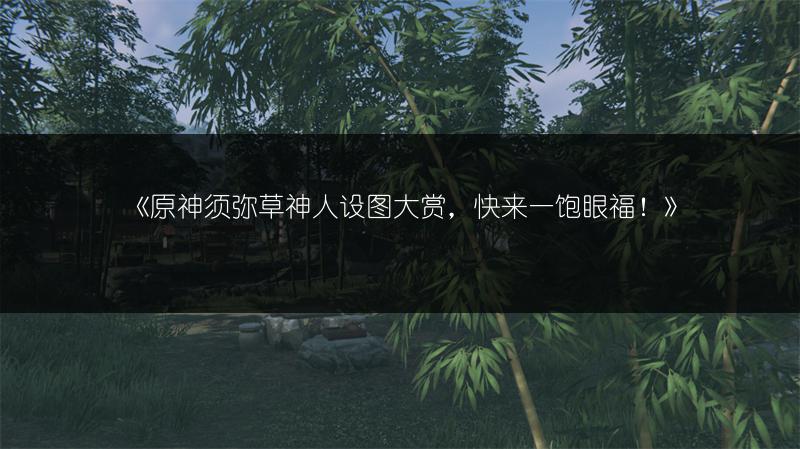 《原神须弥草神人设图大赏，快来一饱眼福！》