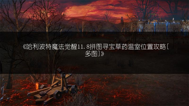 《哈利波特魔法觉醒11.8拼图寻宝草药温室位置攻略[]》