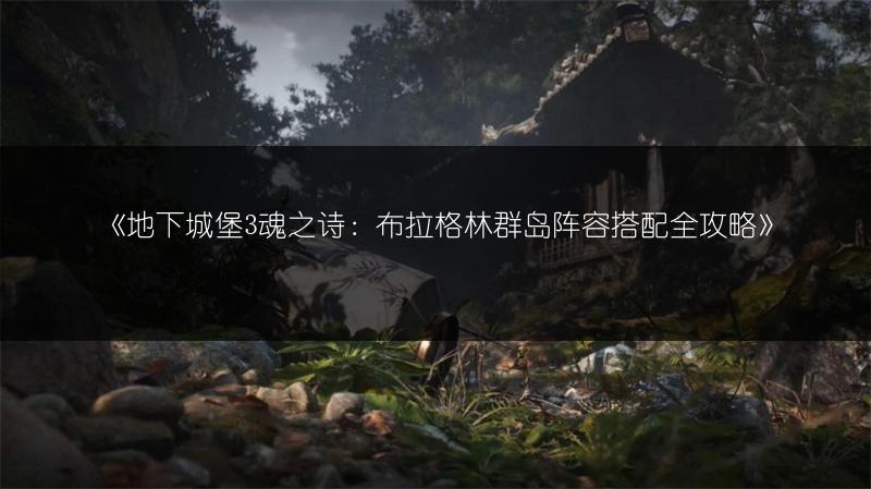 《地下城堡3魂之诗：布拉格林群岛阵容搭配全攻略》