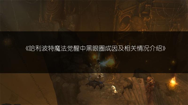 《哈利波特魔法觉醒中黑眼圈成因及相关情况介绍》