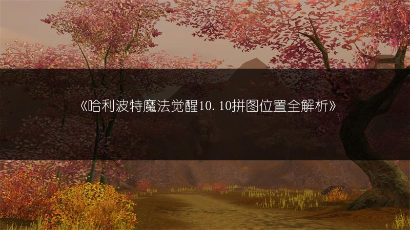 《哈利波特魔法觉醒10.10拼图位置全解析》