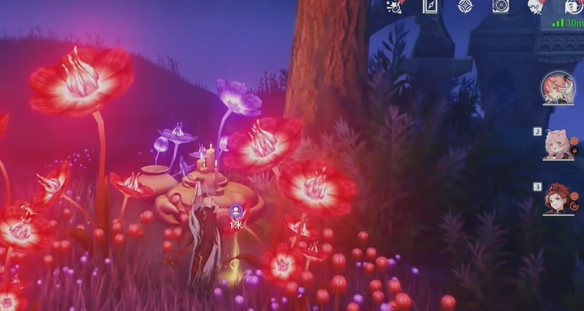 《鸣潮》幽夜幻梦任务攻略