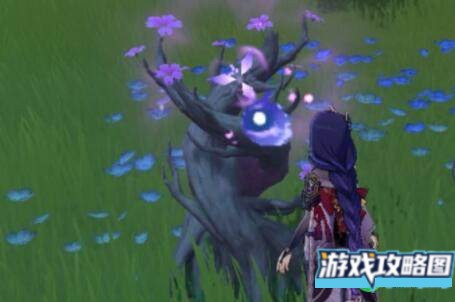 原神漂浮秘灵事前调查玩法攻略