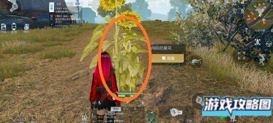 黎明觉醒切割土地宝藏刷新地点一览