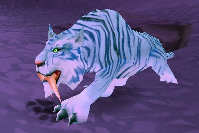 魔兽世界wlk猫科宝宝哪里抓