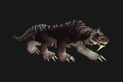 魔兽世界wlk猫科宝宝哪里抓