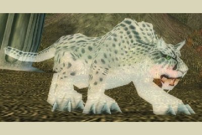 魔兽世界wlk猫科宝宝哪里抓