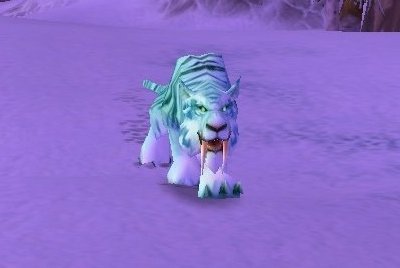 魔兽世界wlk猫在哪抓