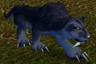 魔兽世界wlk猫在哪抓