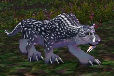 魔兽世界wlk猫在哪抓