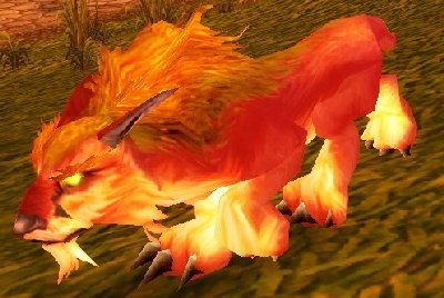 魔兽世界wlk猫在哪抓